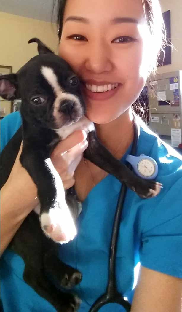 Dr. Yvonne Lee, Toronto mobile veterinarian